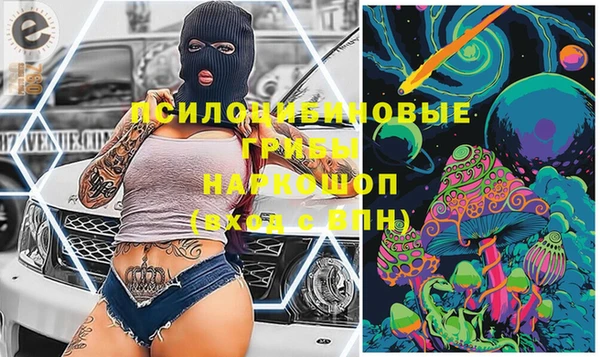 мдпв Арсеньев
