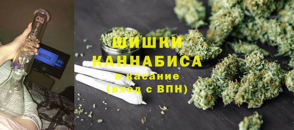 ПСИЛОЦИБИНОВЫЕ ГРИБЫ Аркадак