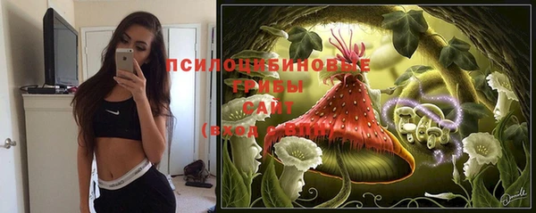 ПСИЛОЦИБИНОВЫЕ ГРИБЫ Аркадак