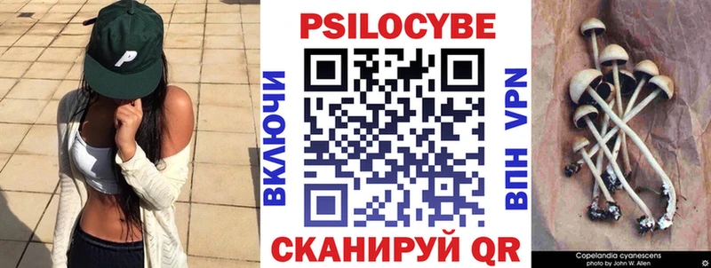 Псилоцибиновые грибы Cubensis  Полярный 